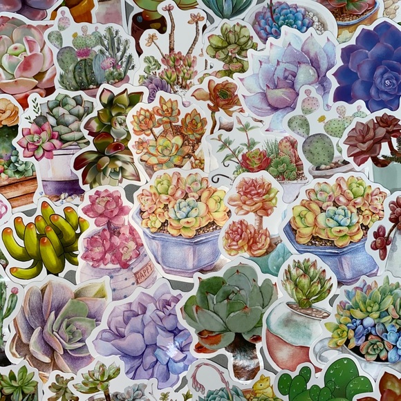 50 Succulent Stickers - Picture 1 of 2